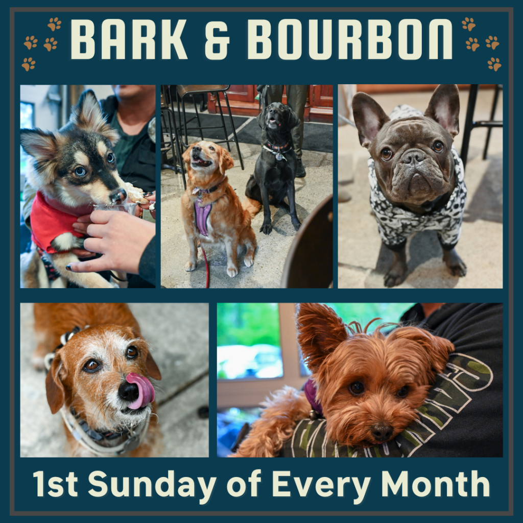 A promotional image for “Bark & Bourbon,” featuring six photos of adorable dogs including a fluffy pup in a red bandana, two dogs sitting together at a bar, a French bulldog in a hoodie, a terrier licking its nose, and a small Yorkie being held. The event is held on the 1st Sunday of every month. The design includes paw prints and a navy blue background with cream-colored text.